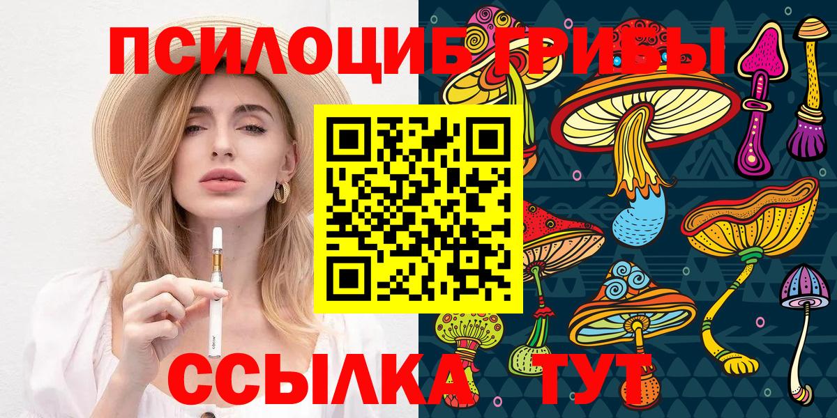 дарнет шоп  Вход с VPN  Минусинск  Псилоцибиновые грибы Cubensis 