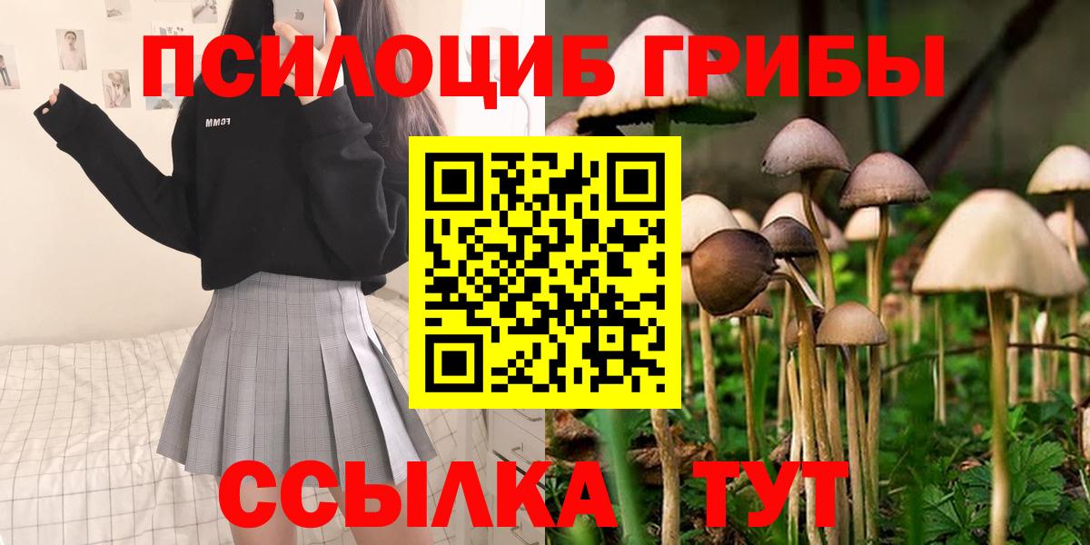 Галлюциногенные грибы прущие грибы Минусинск